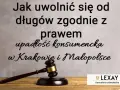 Upadłość konsumencka: Co sąd sprawdza we wniosku i u dłużnika?