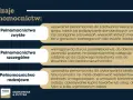 Jak udzielić pełnomocnictwa osobie ubezwłasnowolnionej? Poradnik