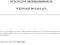 Nakaz zapłaty z e-sądu? Działaj w 14 dni! Uniknij komornika