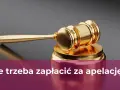 Apelacja: Czy warto? Szanse, ryzyka i koszty odwołania od wyroku