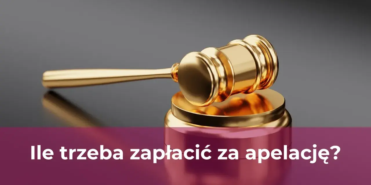 Apelacja: Czy warto? Szanse, ryzyka i koszty odwołania od wyroku