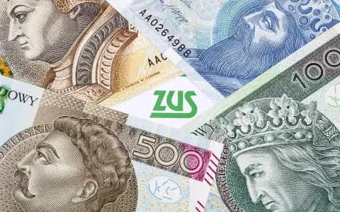 Wygrana z ZUS w sądzie? Sprawdź, czy będzie apelacja i co dalej