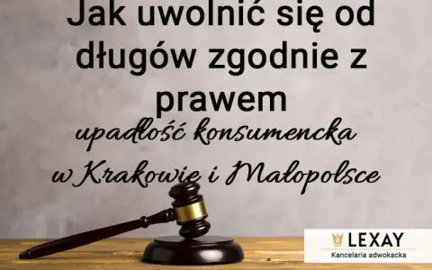 Upadłość konsumencka: Co sąd sprawdza we wniosku i u dłużnika?