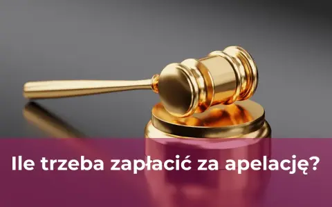Apelacja: Czy warto? Szanse, ryzyka i koszty odwołania od wyroku