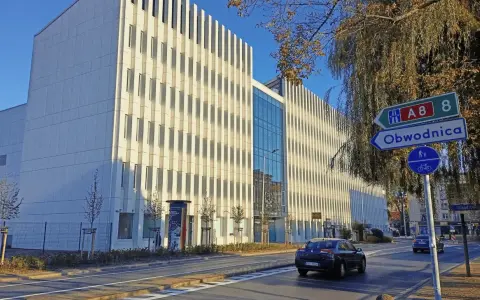 Sąd apelacyjny: Twoja druga szansa na sprawiedliwość?
