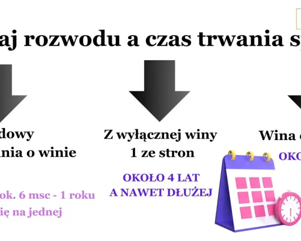 Koszty separacji z adwokatem: Ile zapłacisz i od czego zależy cena?