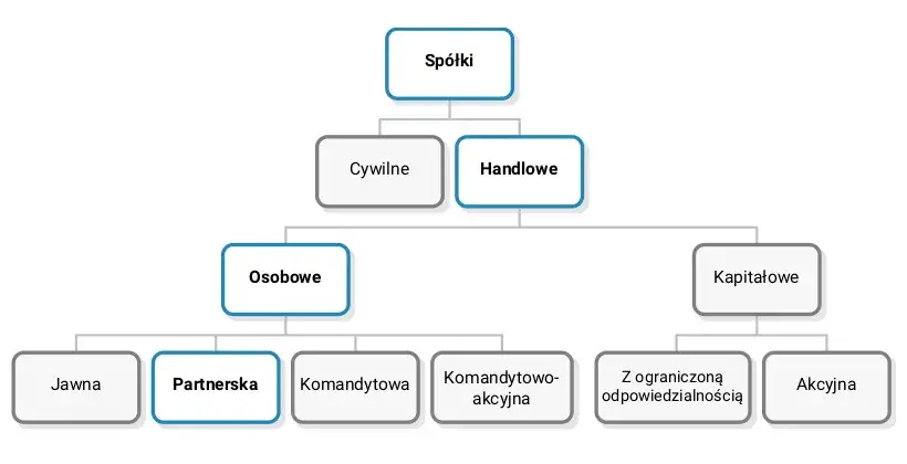 wolne zawody spółka partnerska