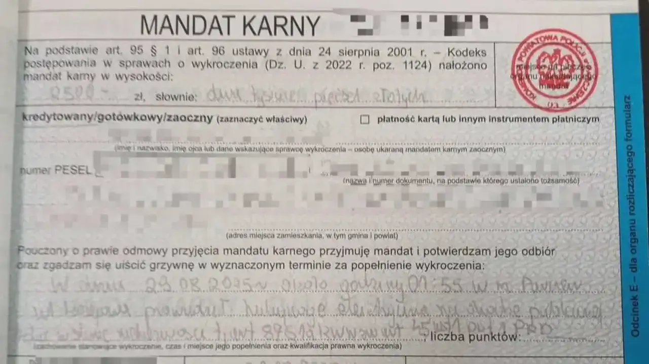 hamulec prawny wyrok karny